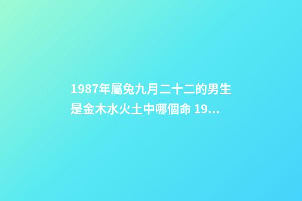 1987年屬兔九月二十二的男生是金木水火土中哪個命 1987年男屬兔陰歷9月22下午3點出生什么命-第1張-觀點-玄機派